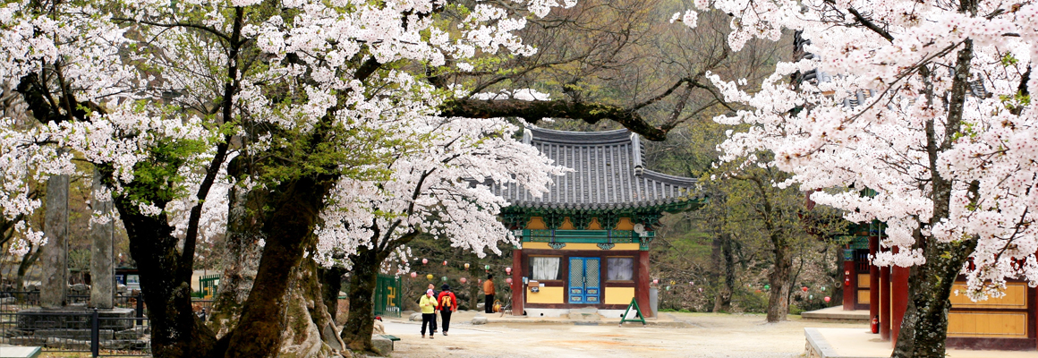 모악산축제